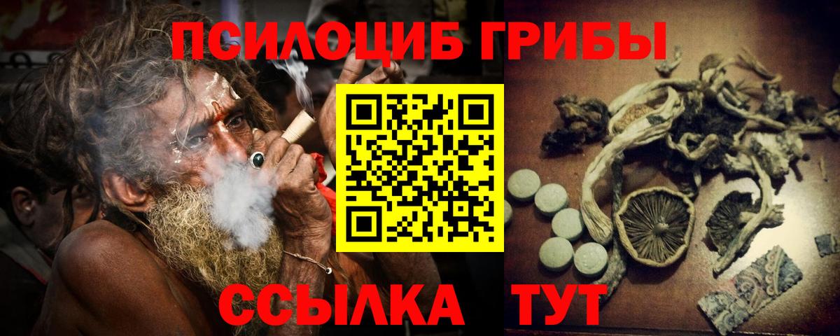 A PVP Вичуга
