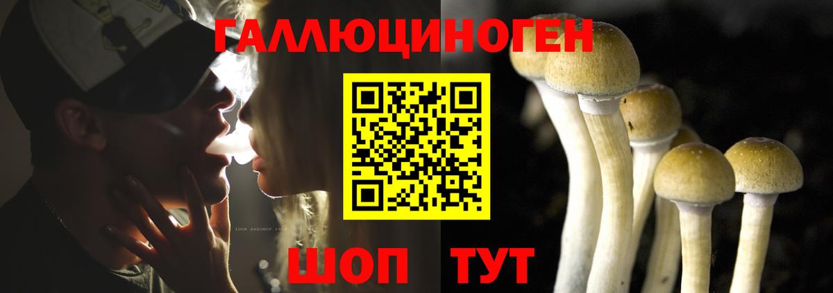 Псилоцибиновые грибы мухоморы Вичуга